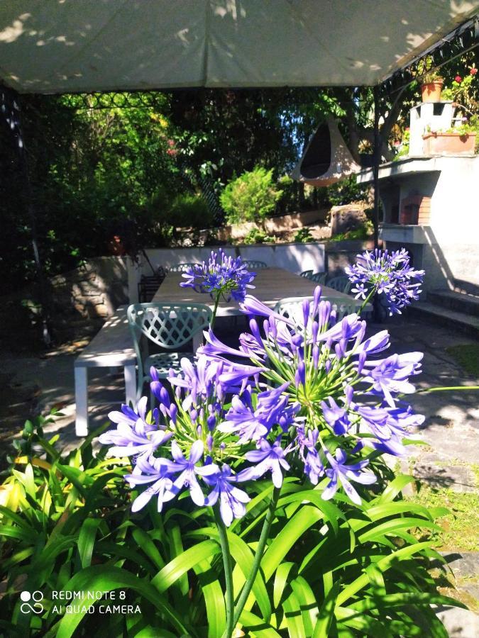 Pergolato Suite San Remo Extérieur photo